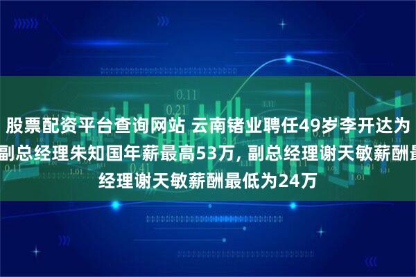 股票配资平台查询网站 云南锗业聘任49岁李开达为副总经理, 副总经理朱知国年薪最高53万, 副总经理谢天敏薪酬最低为24万