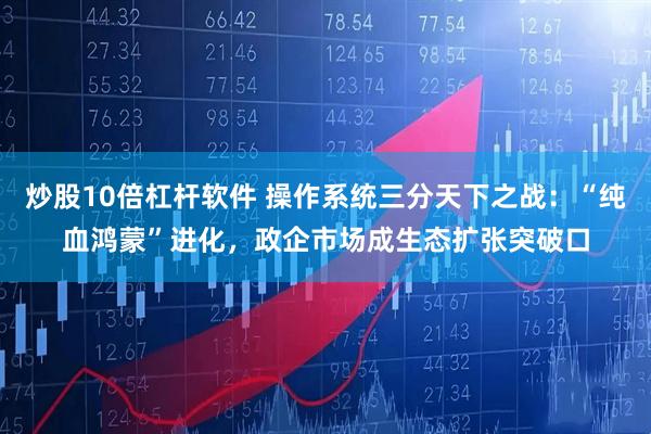 炒股10倍杠杆软件 操作系统三分天下之战：“纯血鸿蒙”进化，政企市场成生态扩张突破口
